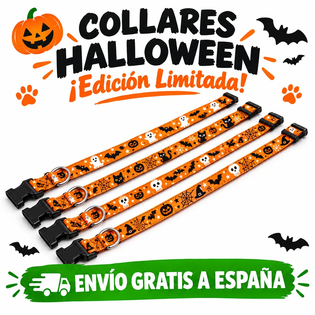 🎃 Collar Halloween para perros| ¡El más adorable de la fiesta!