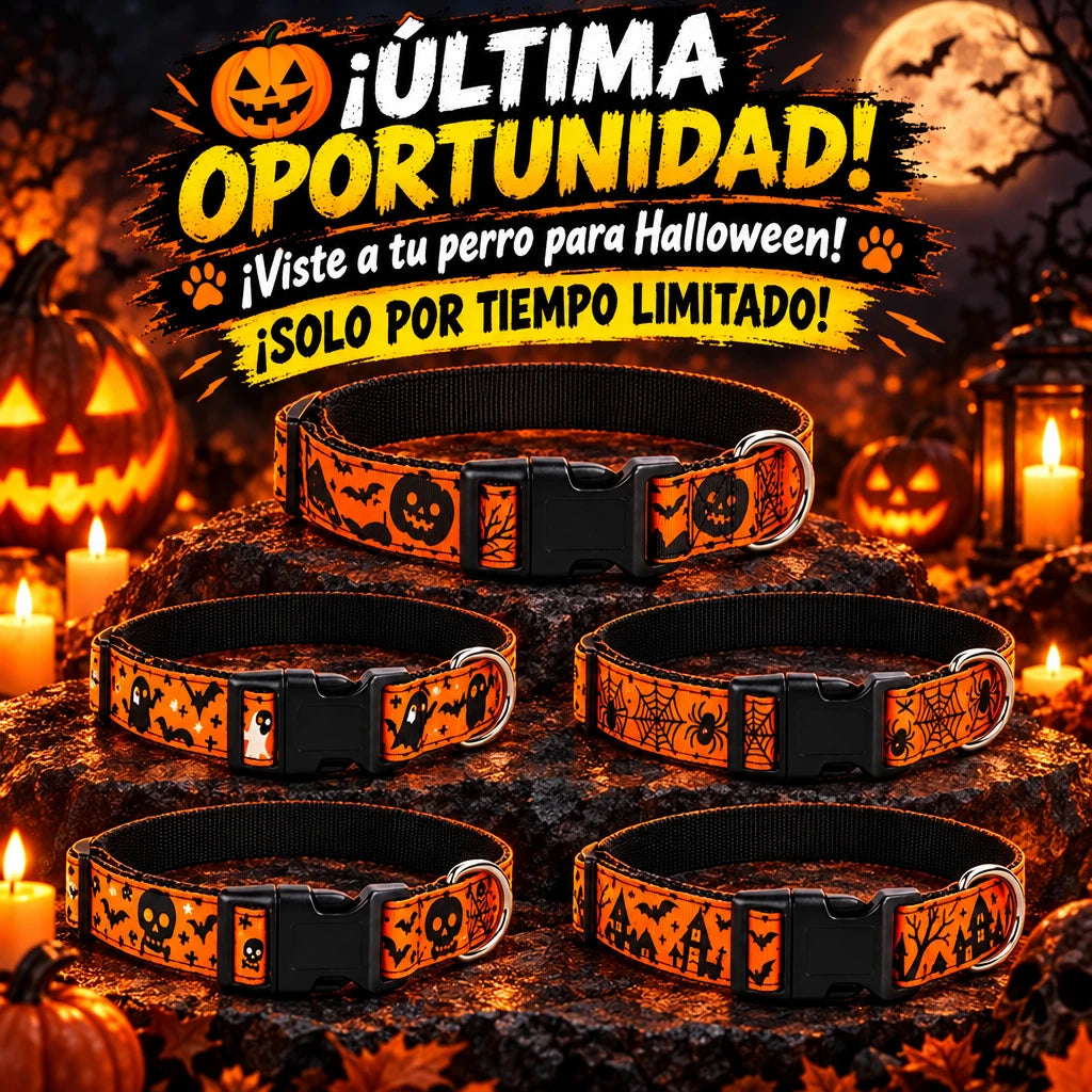 🎃 Collar Halloween para perros| ¡El más adorable de la fiesta!
