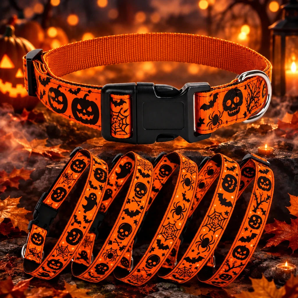 🎃 Collar Halloween para perros| ¡El más adorable de la fiesta!