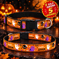 🎃 Collar Halloween para perros| ¡El más adorable de la fiesta!