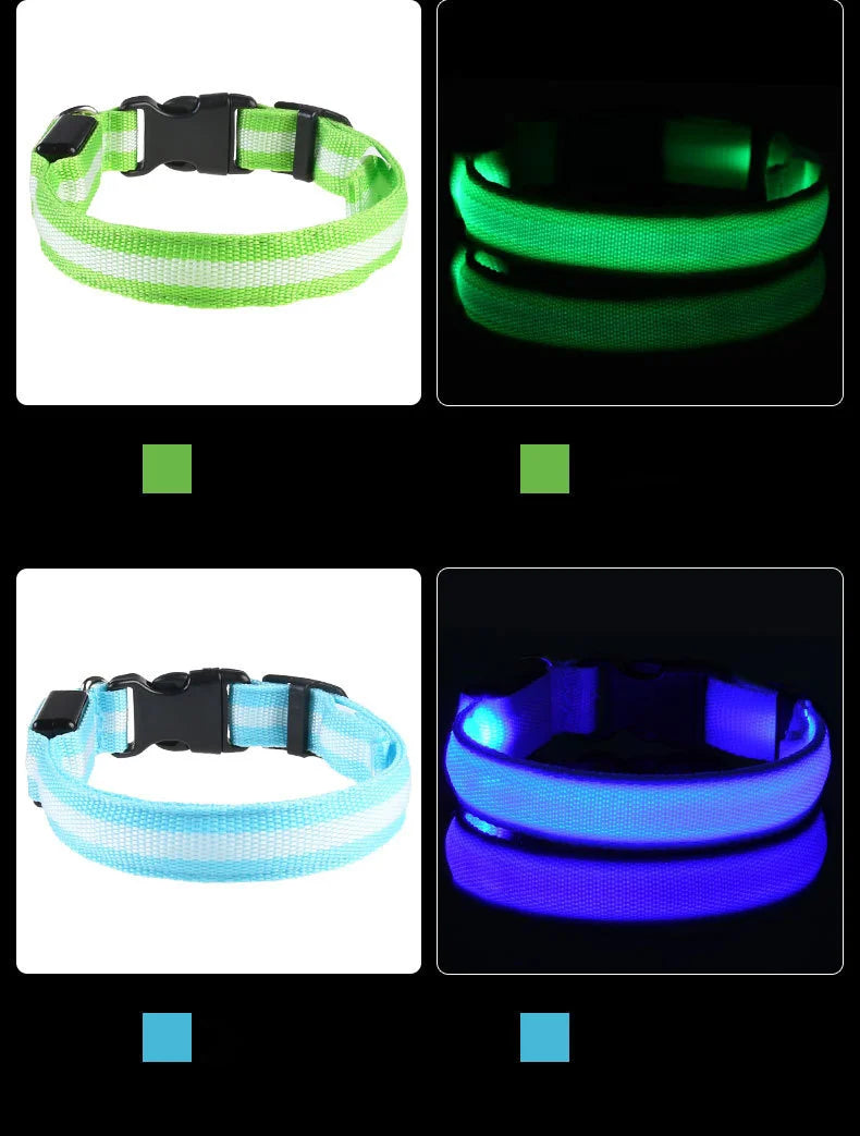 Collar LED Luminoso de Seguridad para Perros
