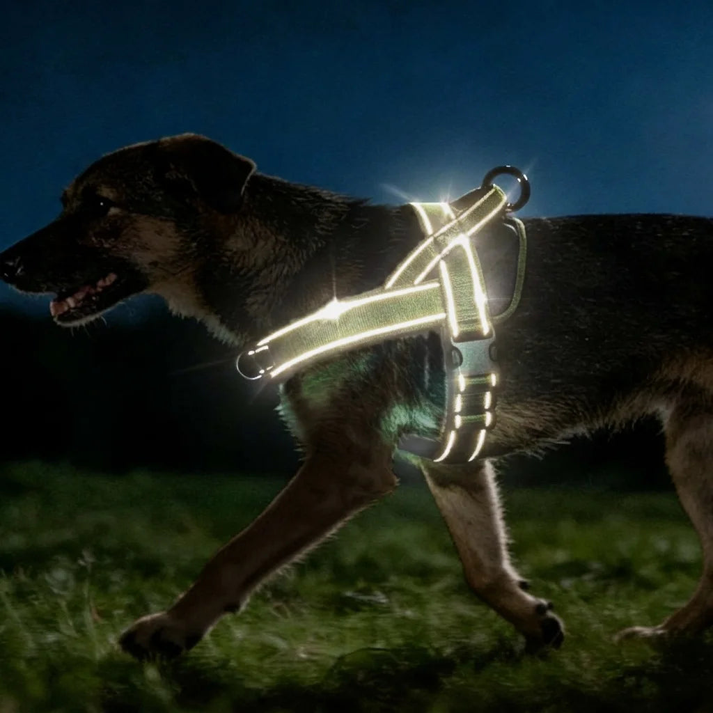 Arnés Táctico Antitirones Profesional para Perros