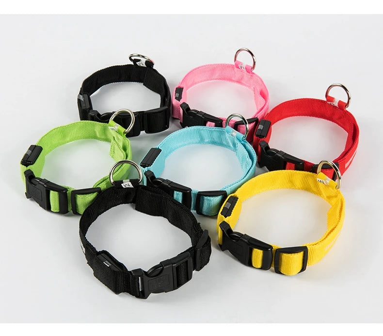Collar LED Luminoso de Seguridad para Perros