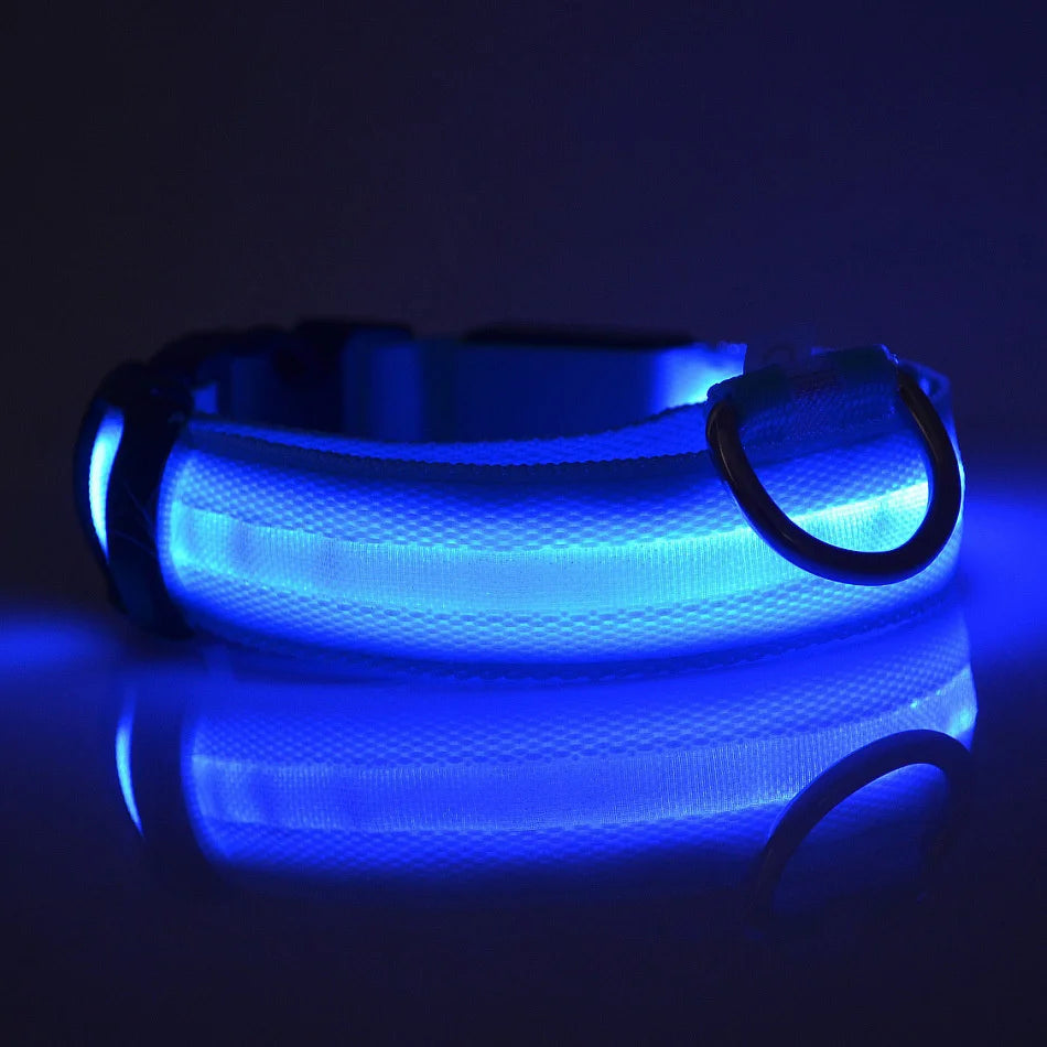 Collar LED Luminoso de Seguridad para Perros