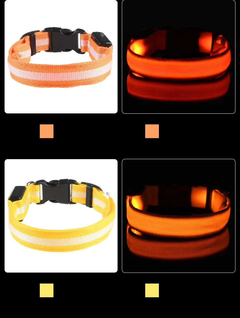 Collar LED Luminoso de Seguridad para Perros