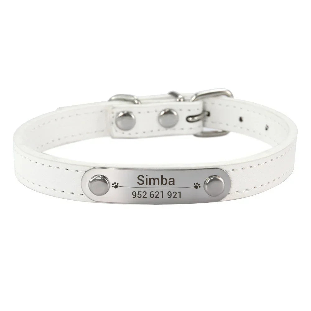 Collar de Cuero Personalizado con Placa Identificativa