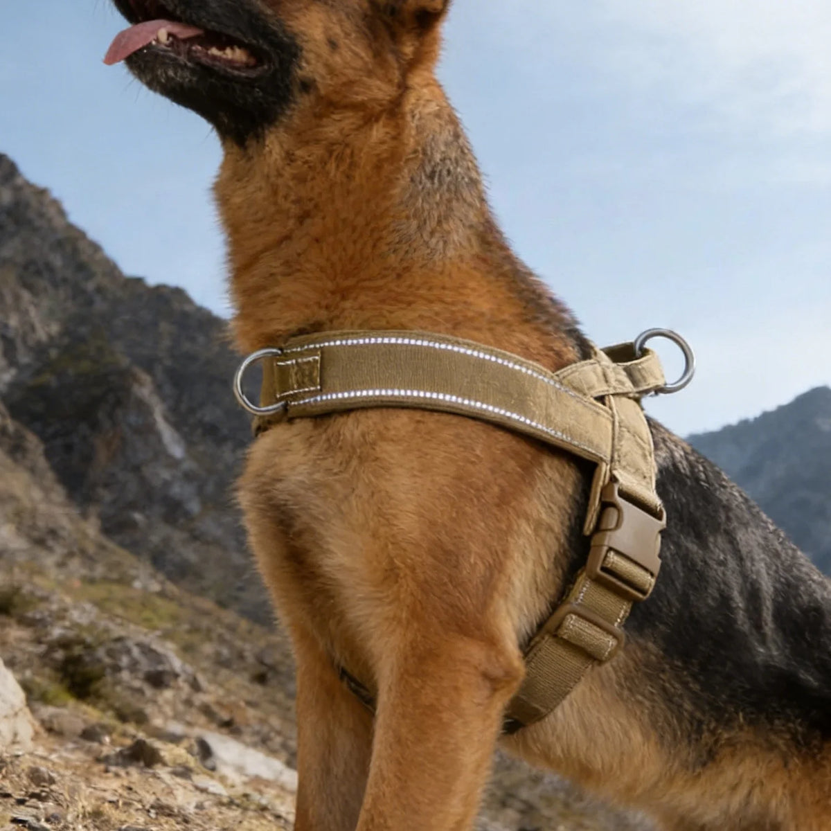 Arnés Táctico Antitirones Profesional para Perros