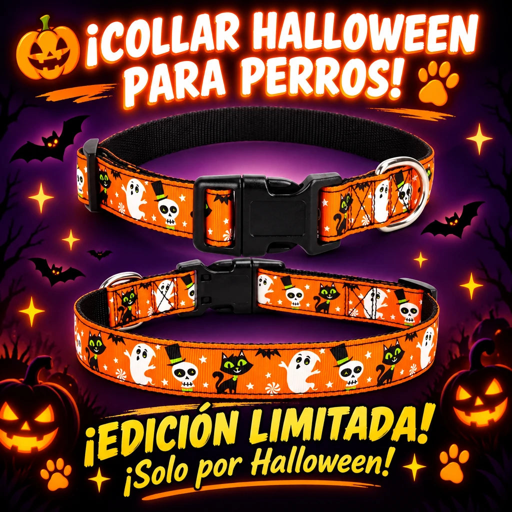 🎃 Collar Halloween para perros| ¡El más adorable de la fiesta!