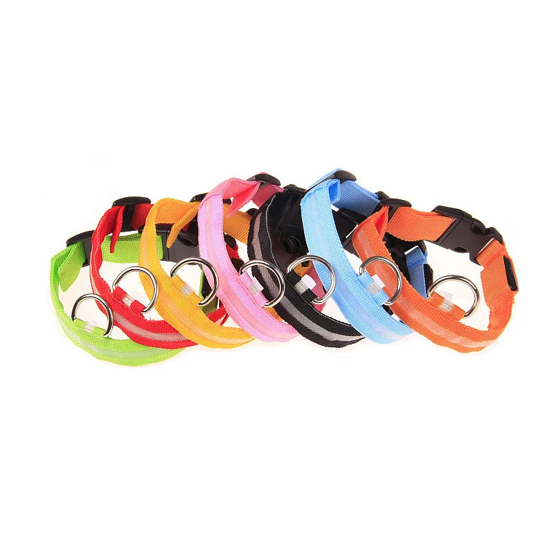 Collar LED Luminoso de Seguridad para Perros