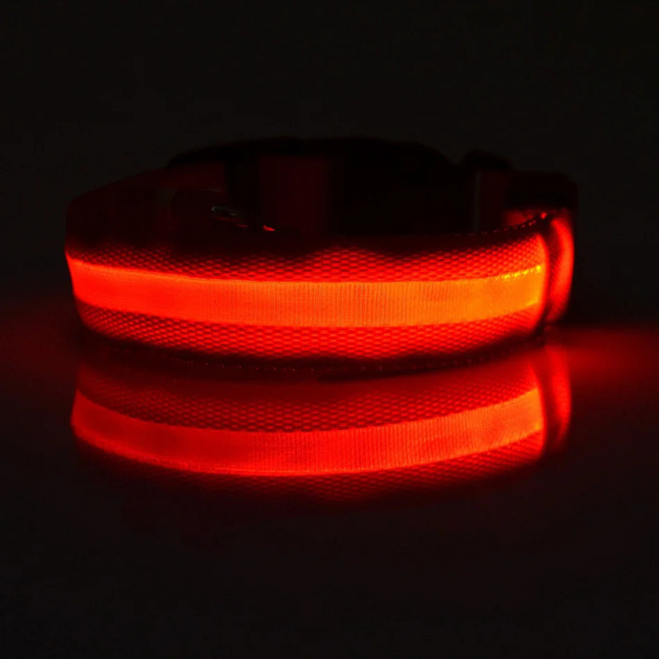 Collar LED Luminoso de Seguridad para Perros