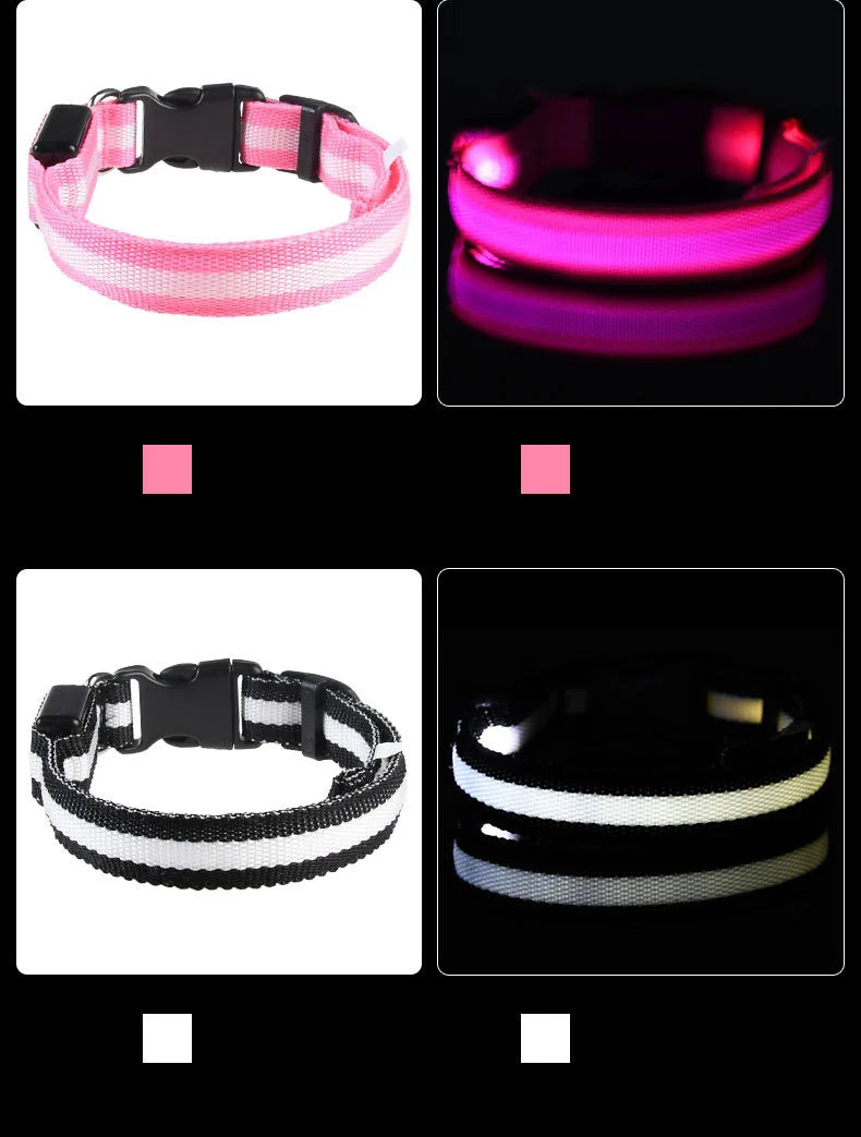 Collar LED Luminoso de Seguridad para Perros