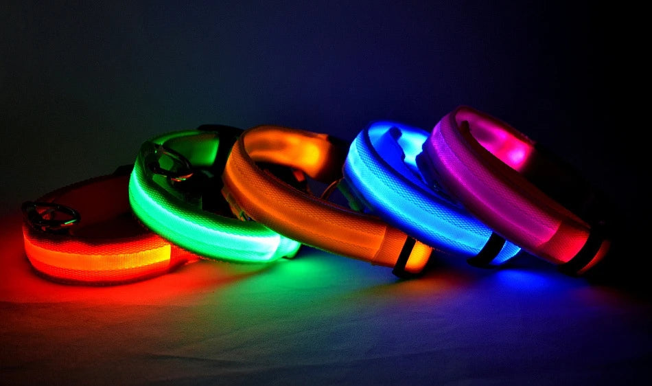 Collar LED Luminoso de Seguridad para Perros