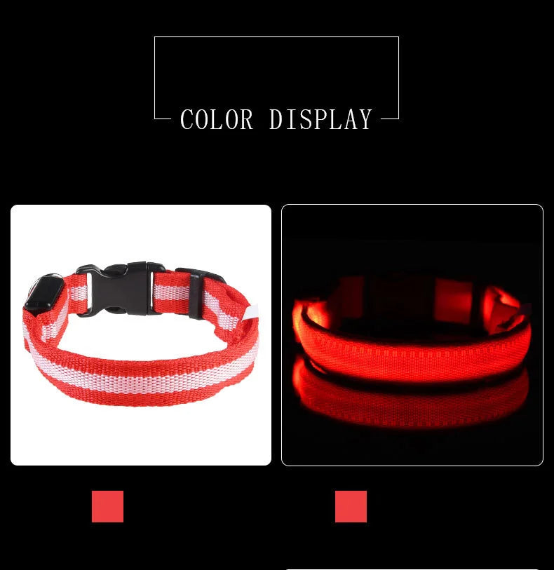 Collar LED Luminoso de Seguridad para Perros